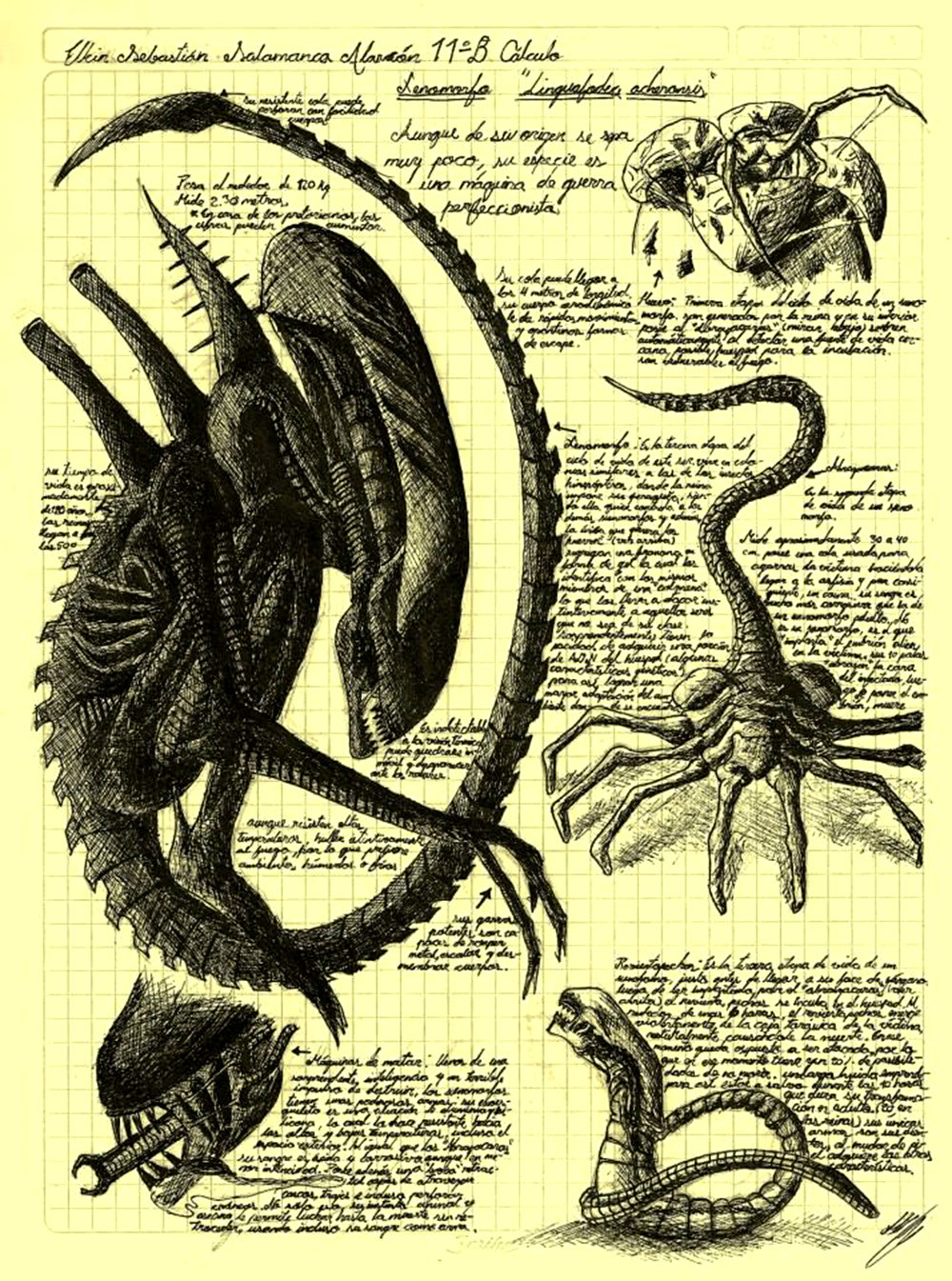 Curiosidades sobre "Alien" de Ridley Scott Evolucion-alien-cuaderno-secreto-darwin
